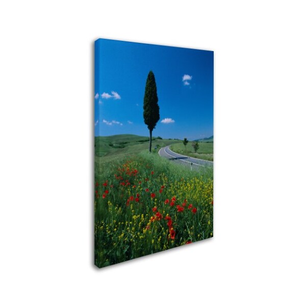 Robert Harding Picture Library 'Trees' Canvas Art,12x19